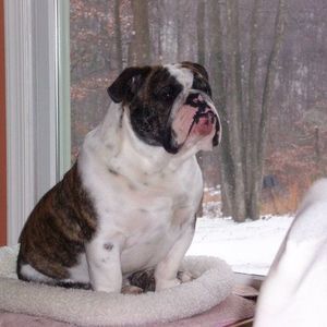 Meet your Posher, Marylou